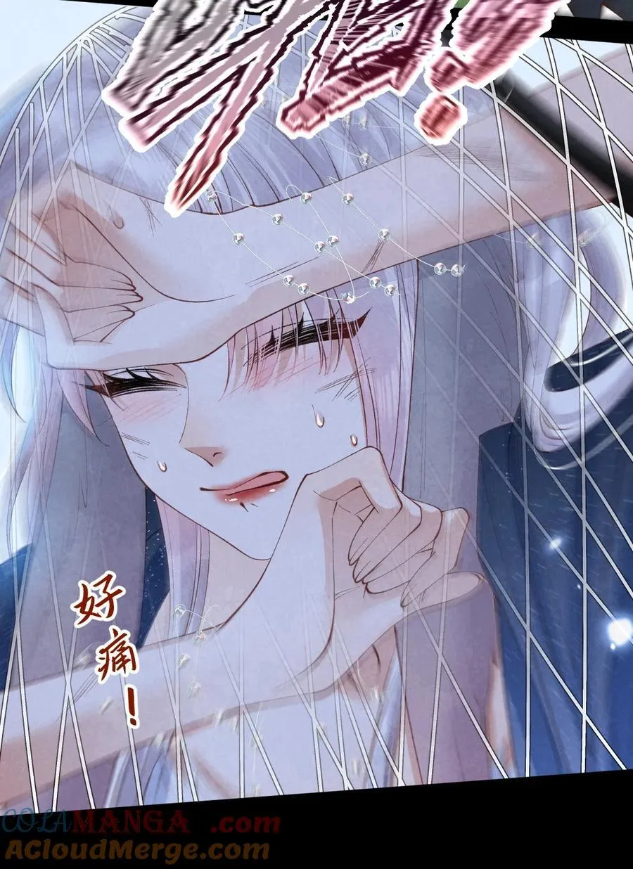 036 兔落蛇网42