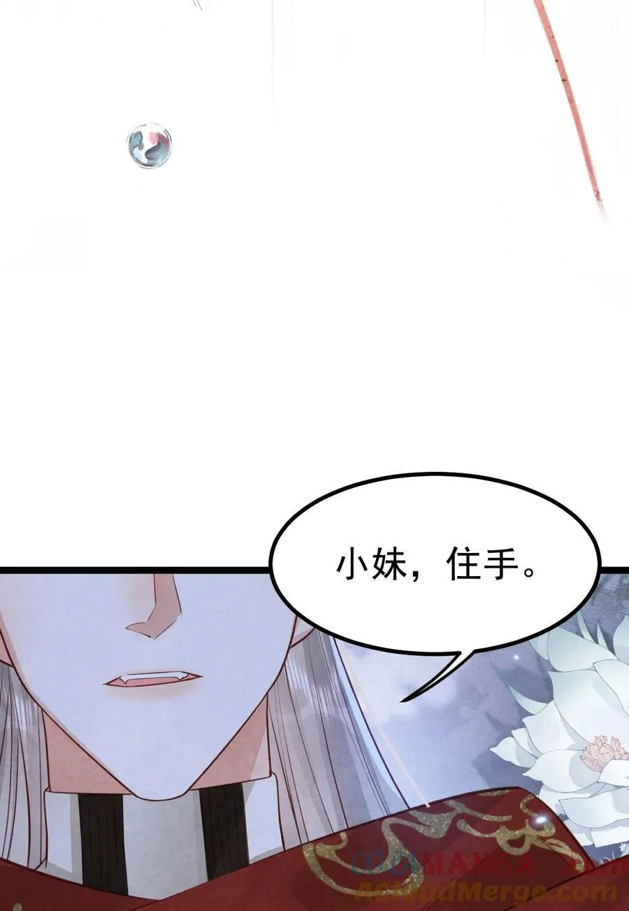 036 兔落蛇网51