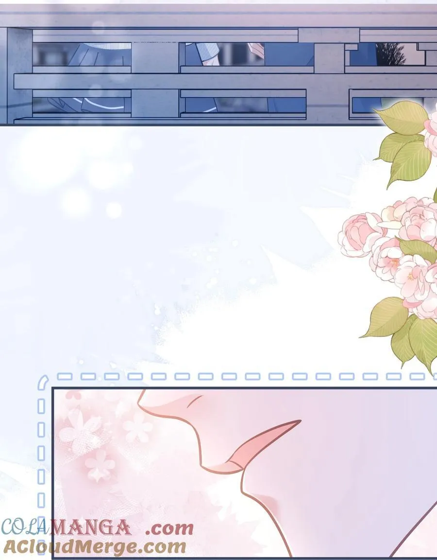 044 小鹿乱撞？42