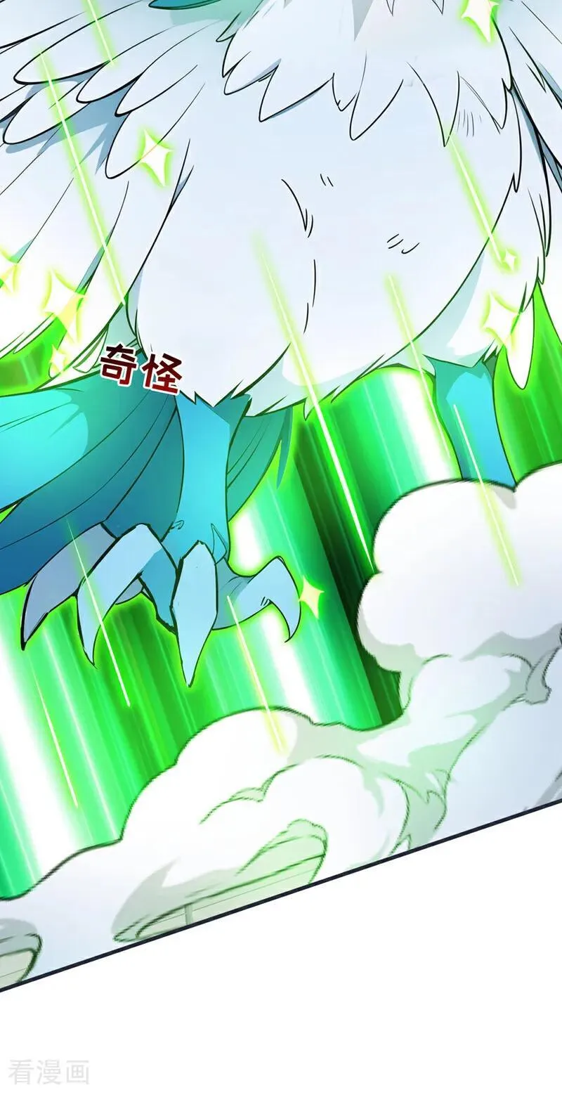 第267话 去吧，重明鸟！7