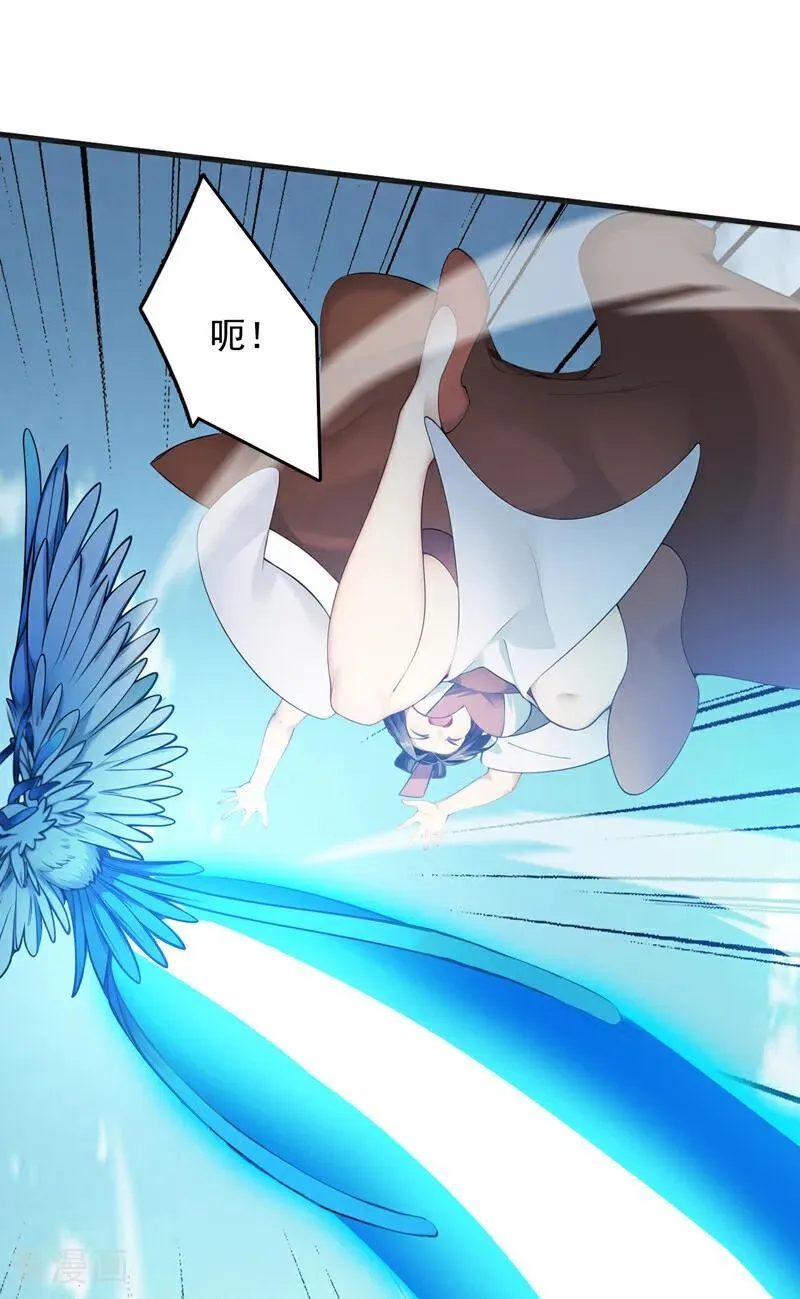 第267话 去吧，重明鸟！19