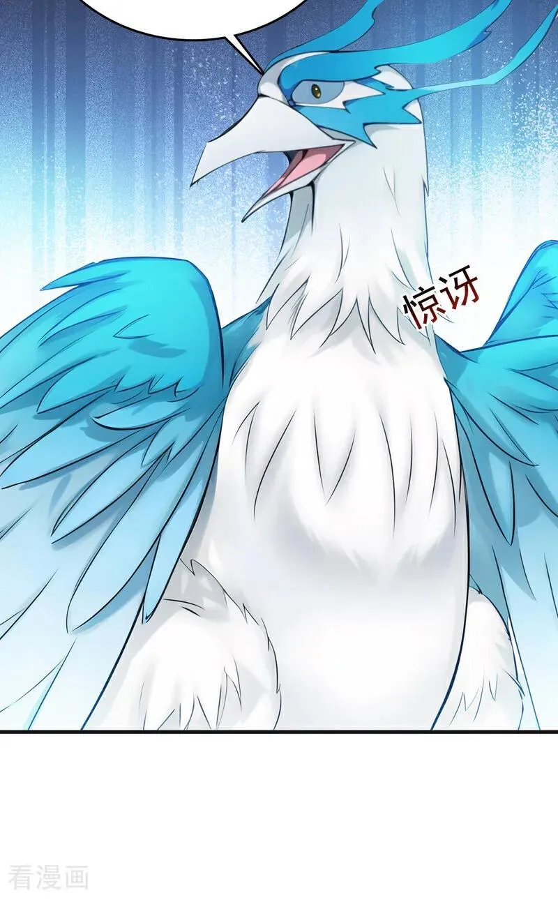 第267话 去吧，重明鸟！26