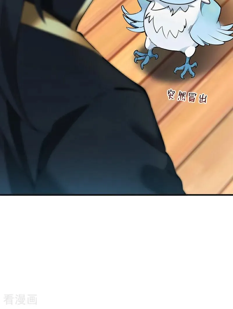 第267话 去吧，重明鸟！40