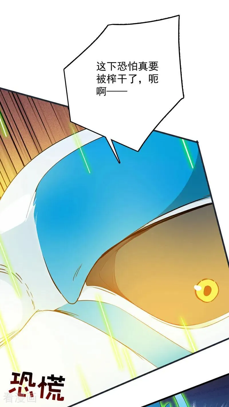第267话 去吧，重明鸟！5