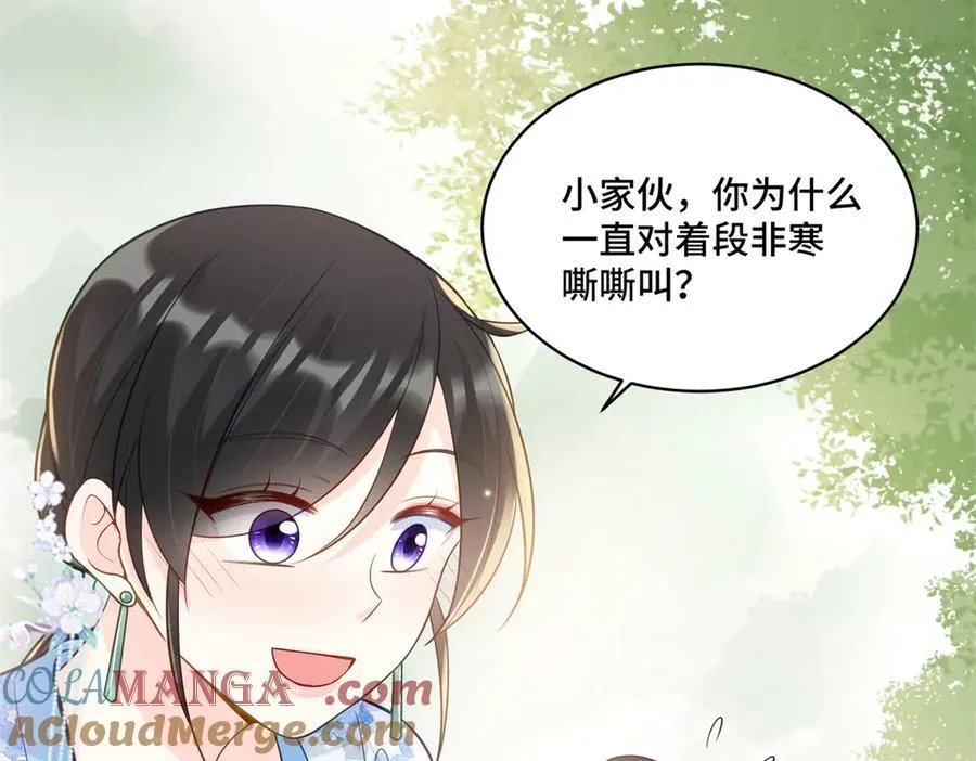 114 现代人玩的真花66