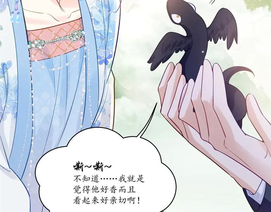 114 现代人玩的真花67