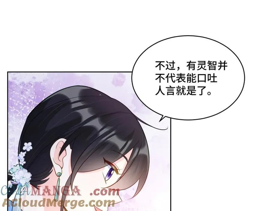 114 现代人玩的真花60