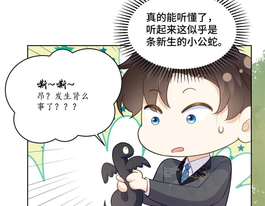 114 现代人玩的真花64