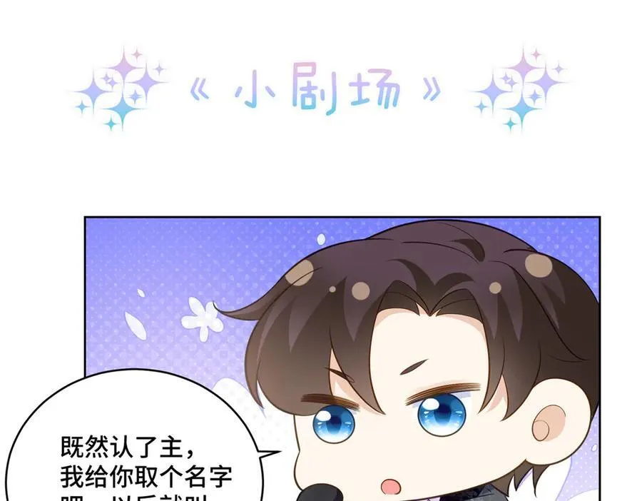114 现代人玩的真花80