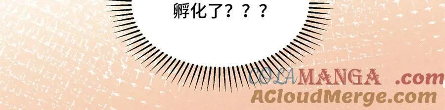 114 现代人玩的真花54