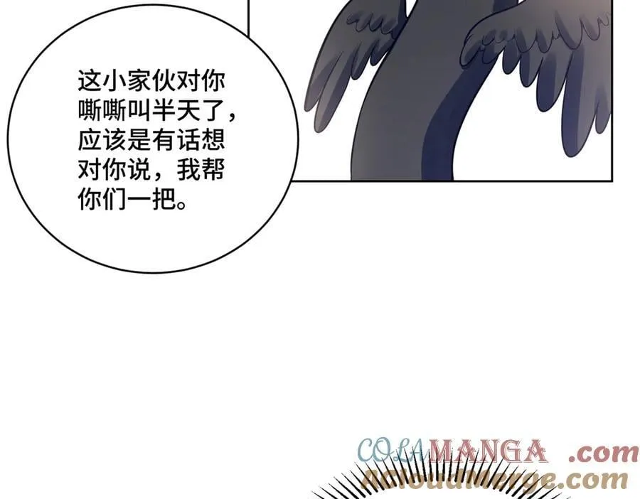 114 现代人玩的真花63