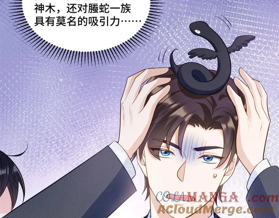 114 现代人玩的真花72
