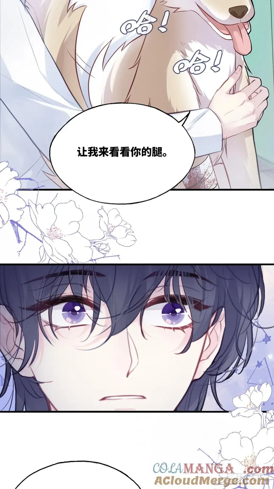 囚笼：11、阿黄42