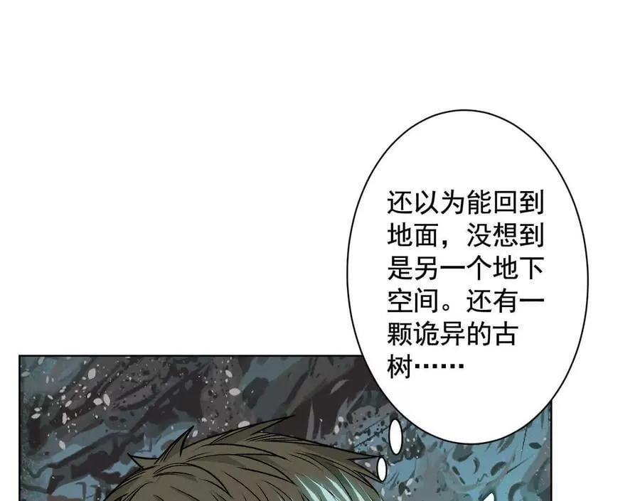 盘根错节49