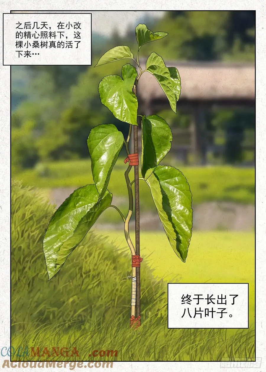 小改优秀！16