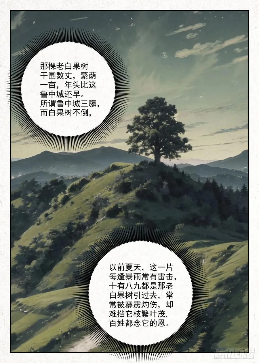 白果树13