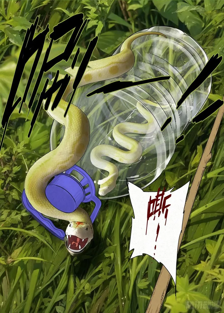 包袱5