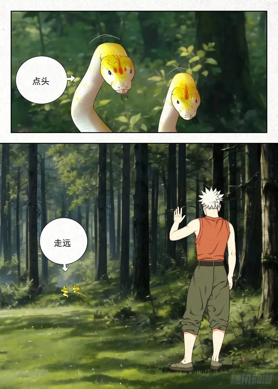包袱15