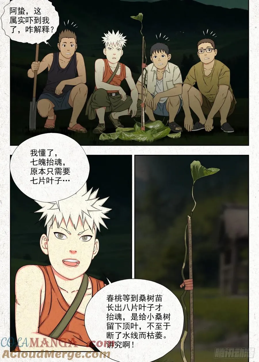 春桃的秘密6