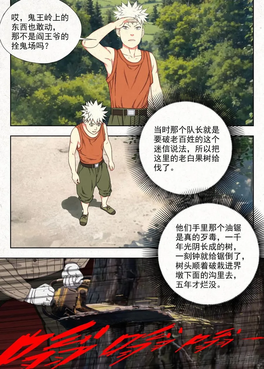 白果树15