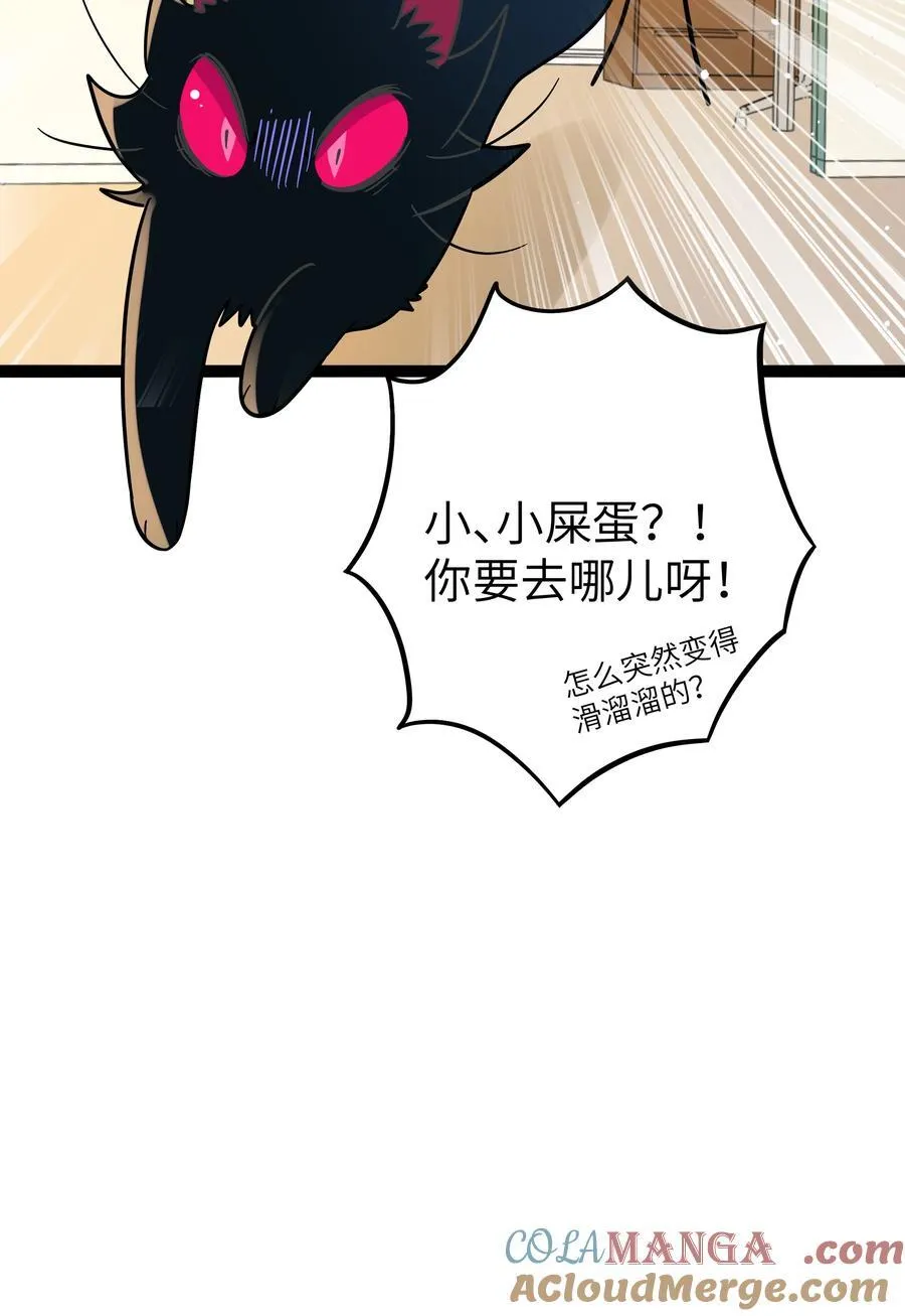 098 鸢尾花（含联动彩蛋）6