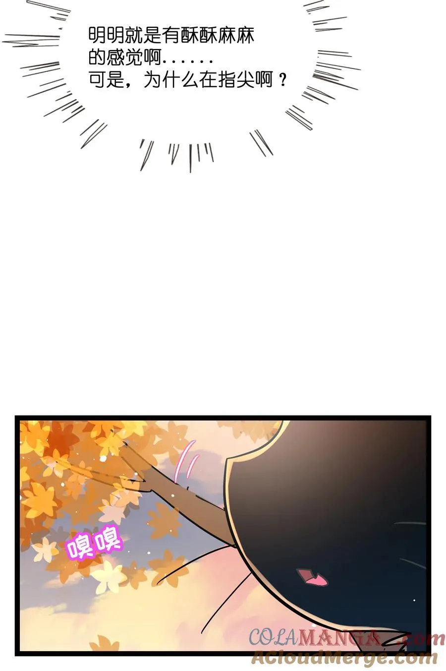 098 鸢尾花（含联动彩蛋）27
