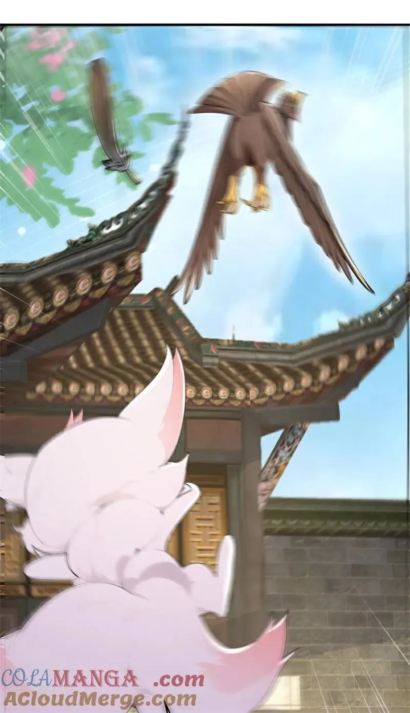 第108话 大记忆清除术！33