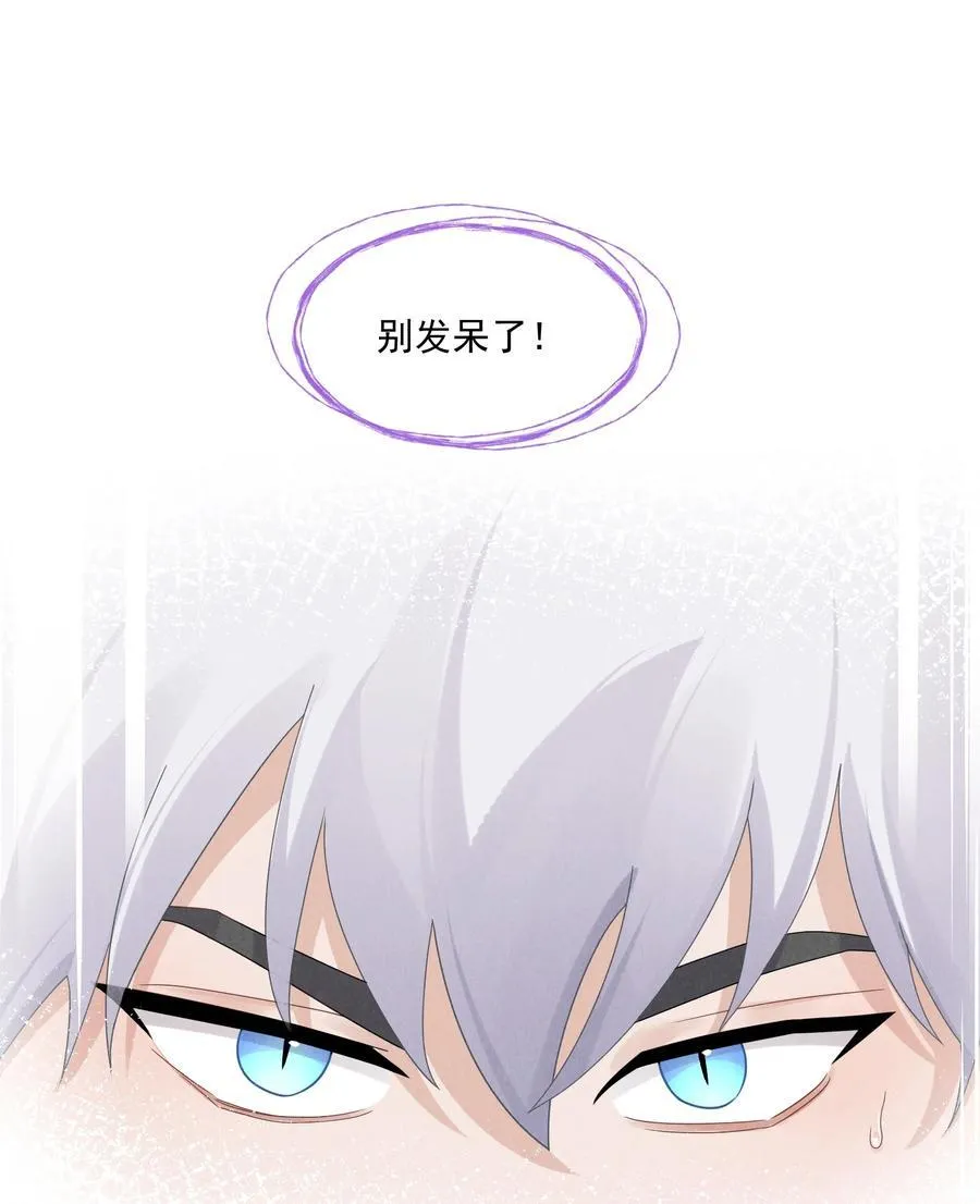 031 定格11