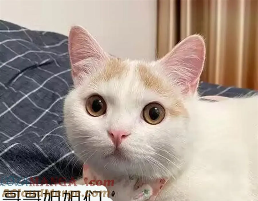 第101话 厉北承的惊喜72