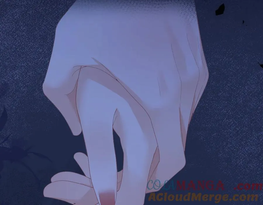 第66话 被爱滋养的玫瑰96