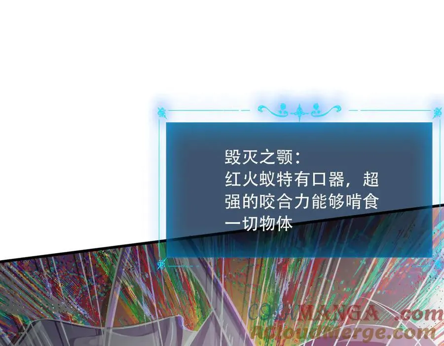 40 困兽之斗44