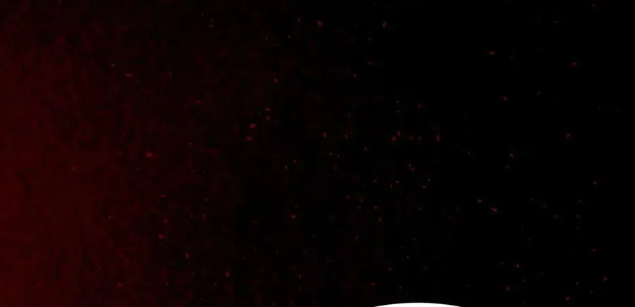 33 命运？死亡？225