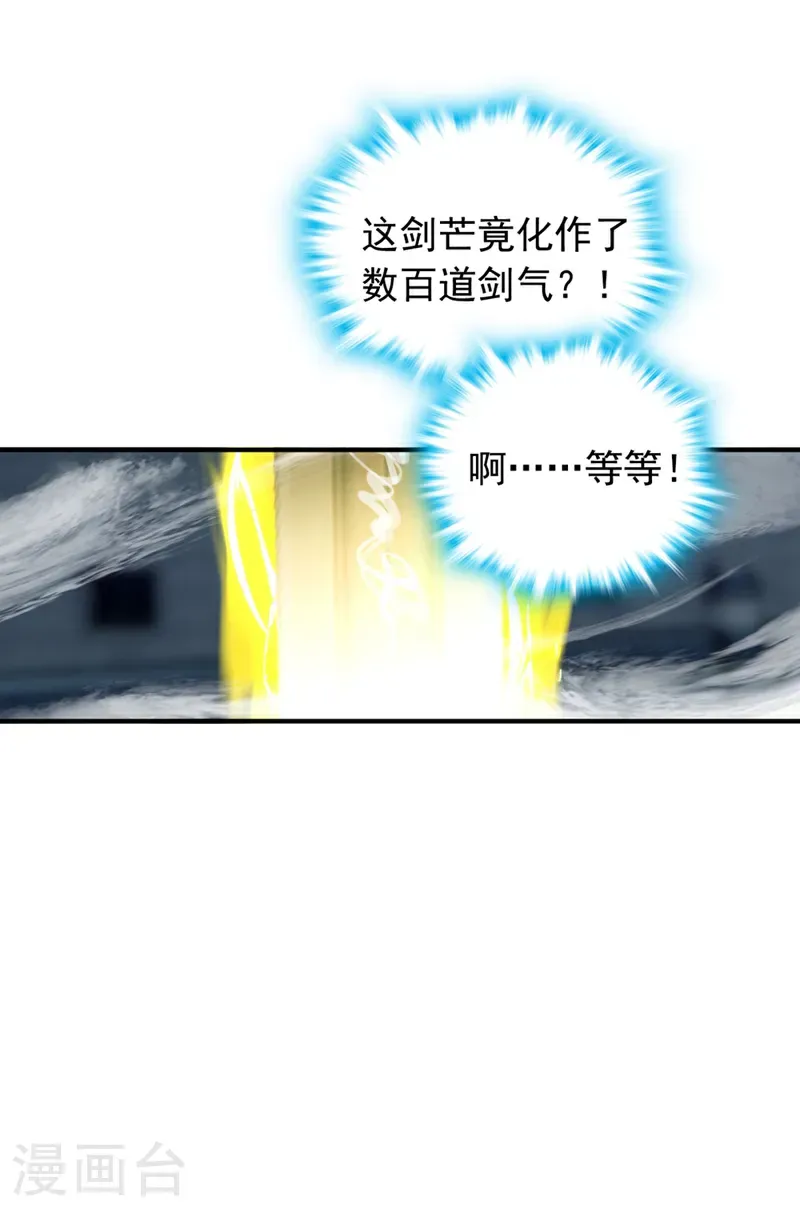 第123话 这剑意，我懂了14