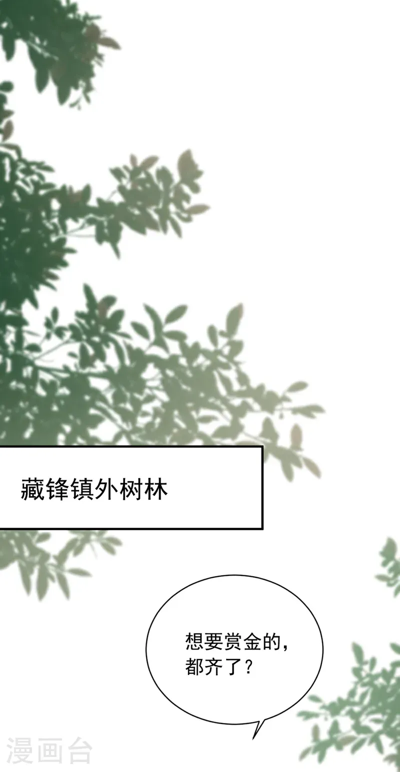 第116话 还有谁想要赏金？19