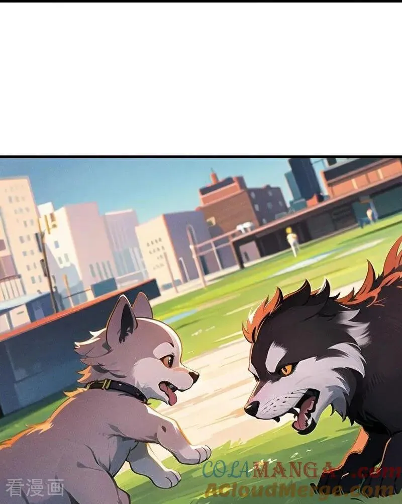 第200话 狼王赛28