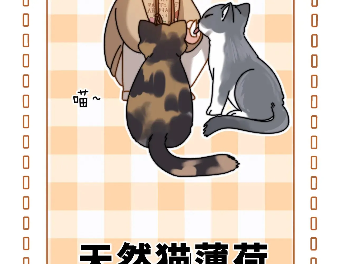 第61话 无法直白展示情感11