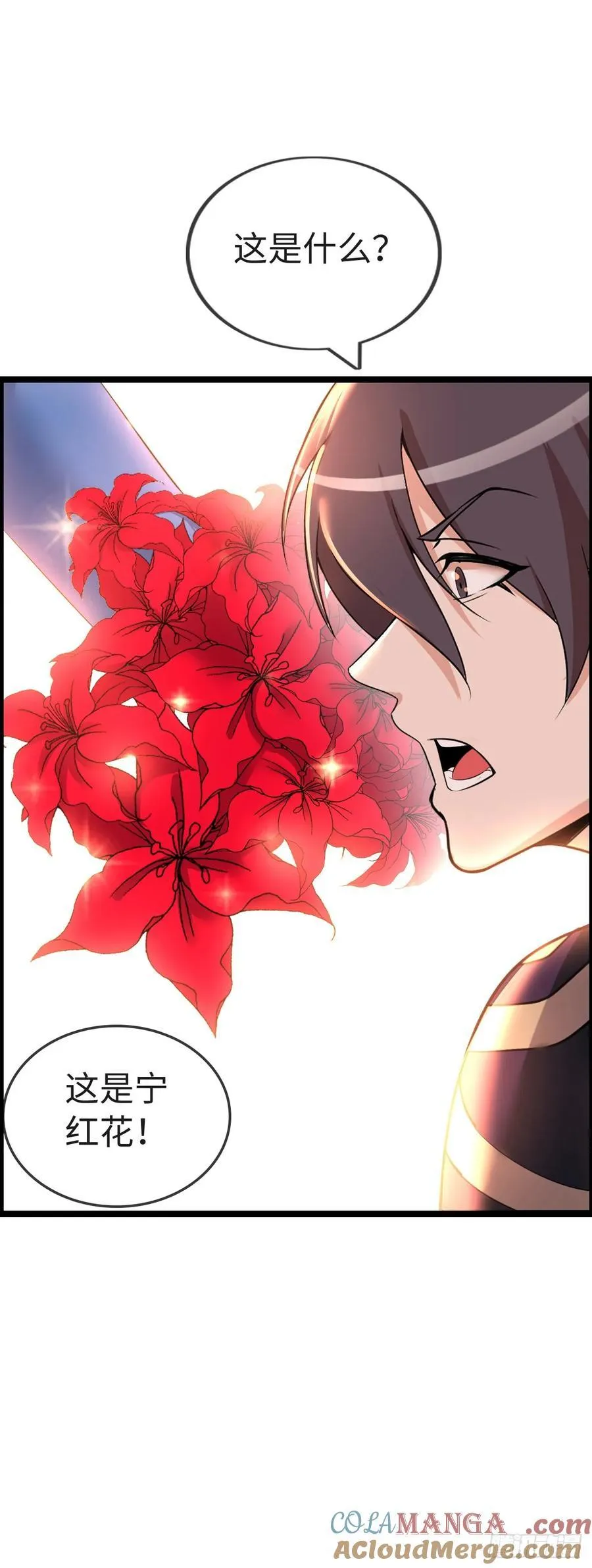 带货26