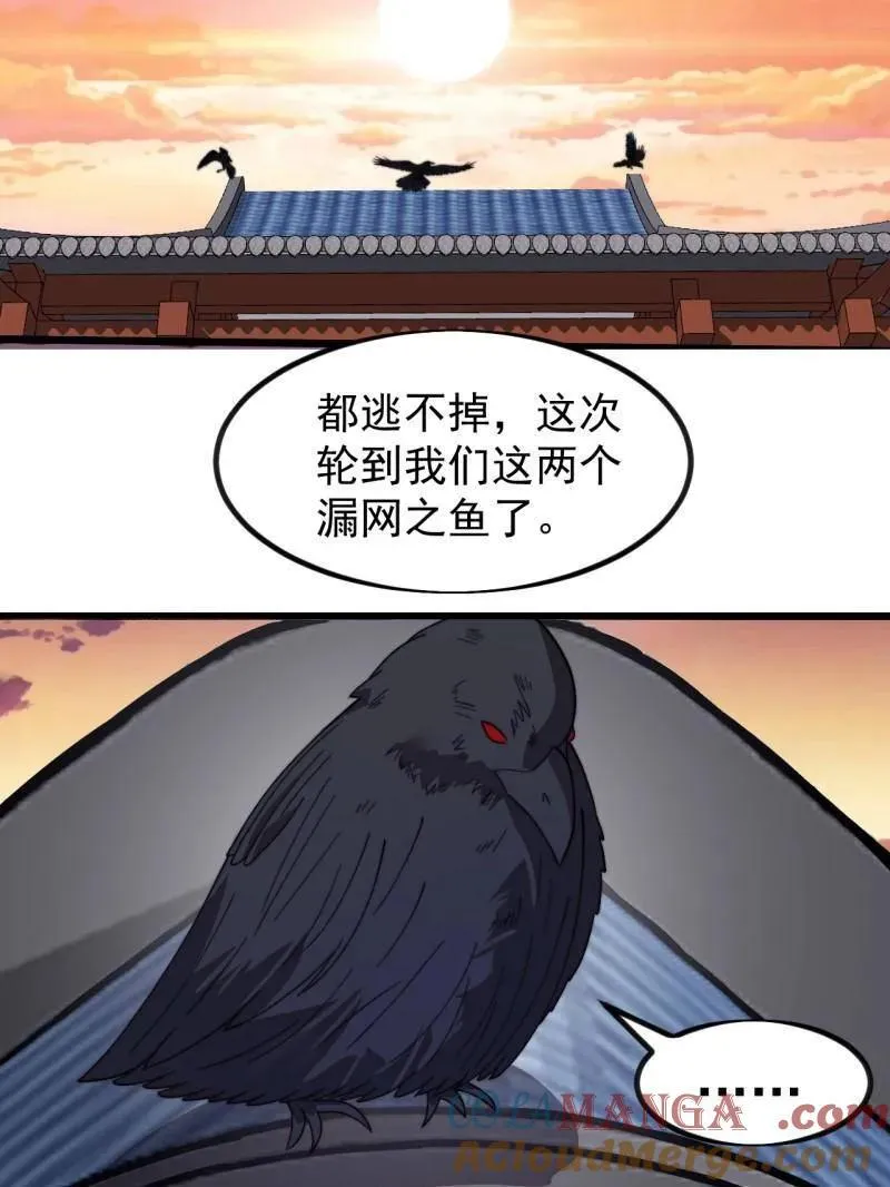 第984话 ：蹊跷42