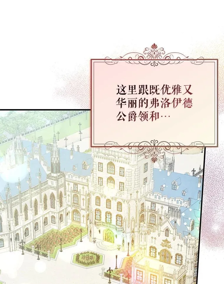 111.收养33