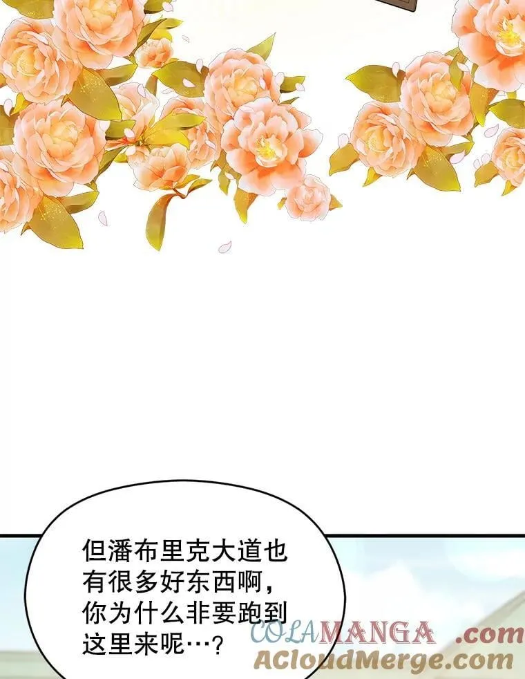 113.永恒紫钻24