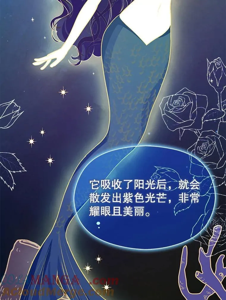113.永恒紫钻72