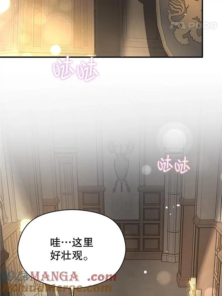 111.收养64