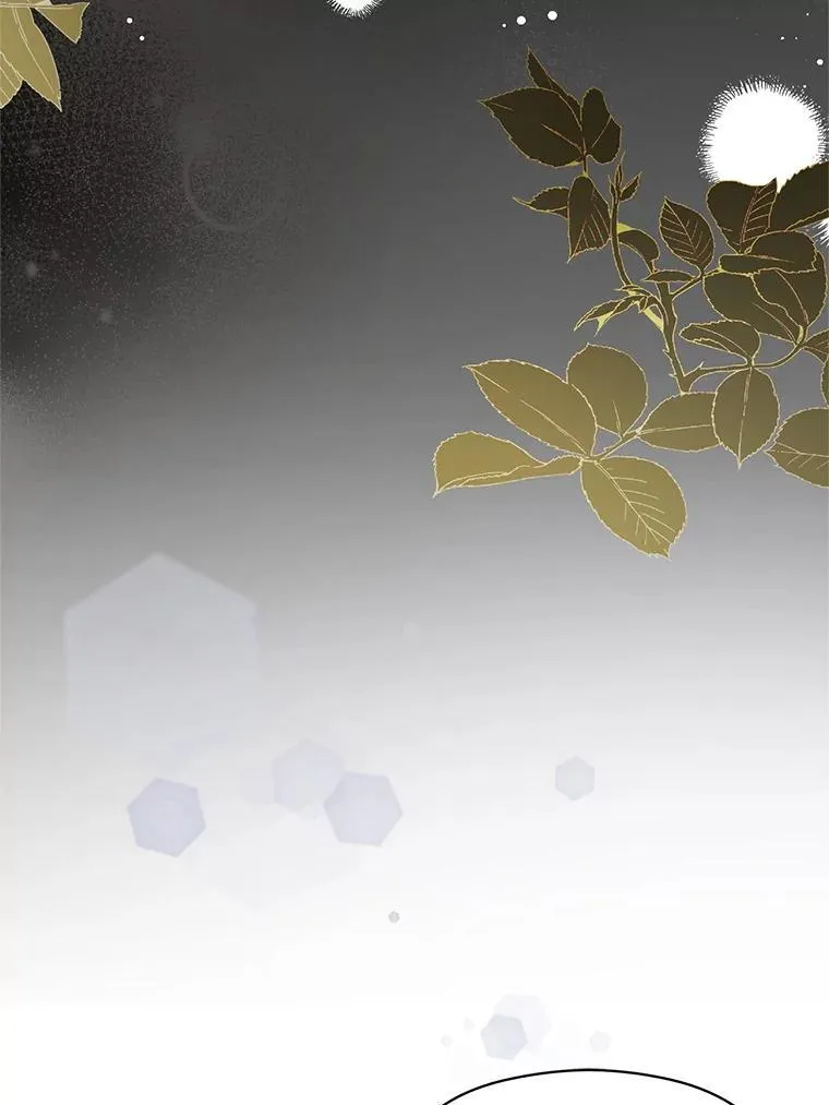 111.收养49