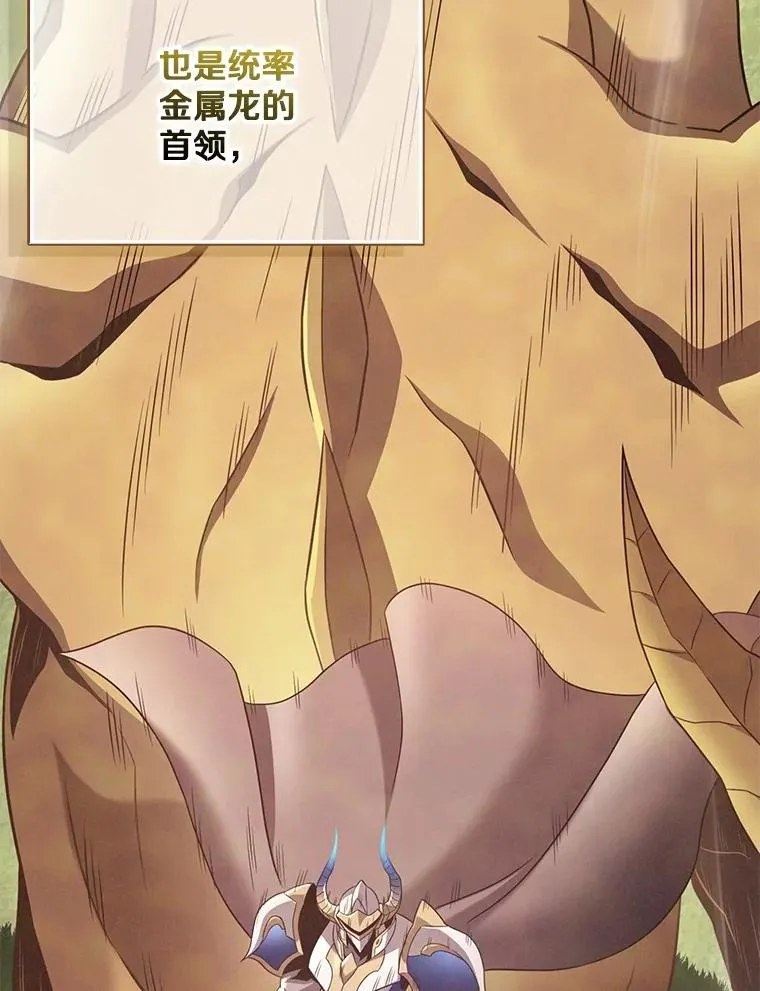 155.绊脚石111