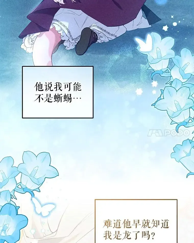 66.安好31