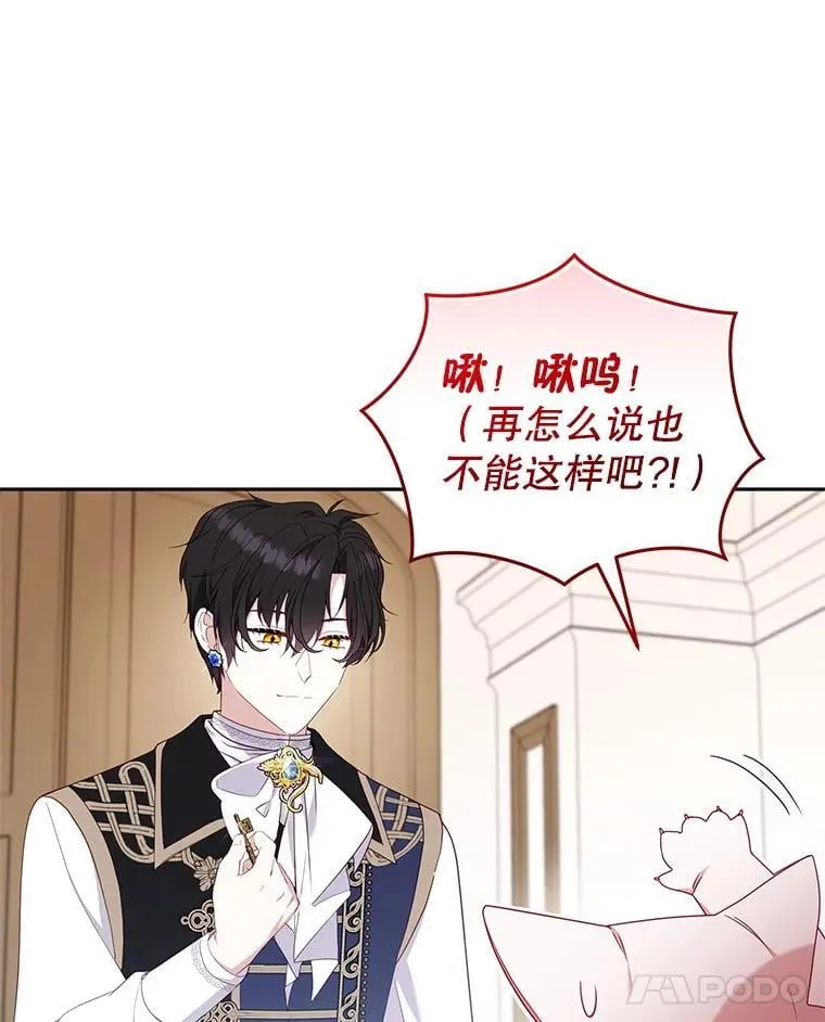 65.你是龙11