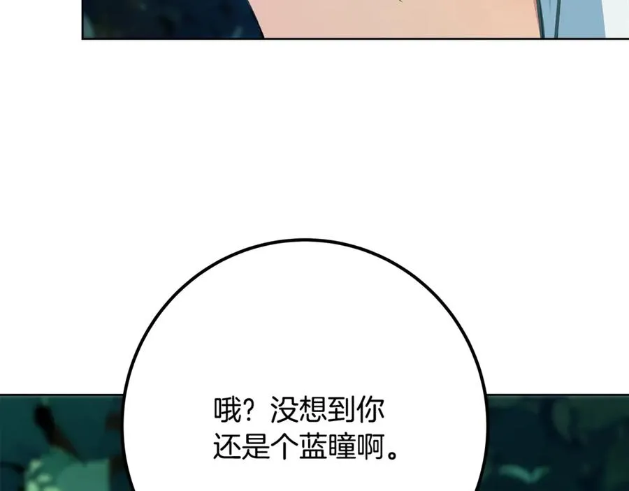 第74话 美人的诅咒165