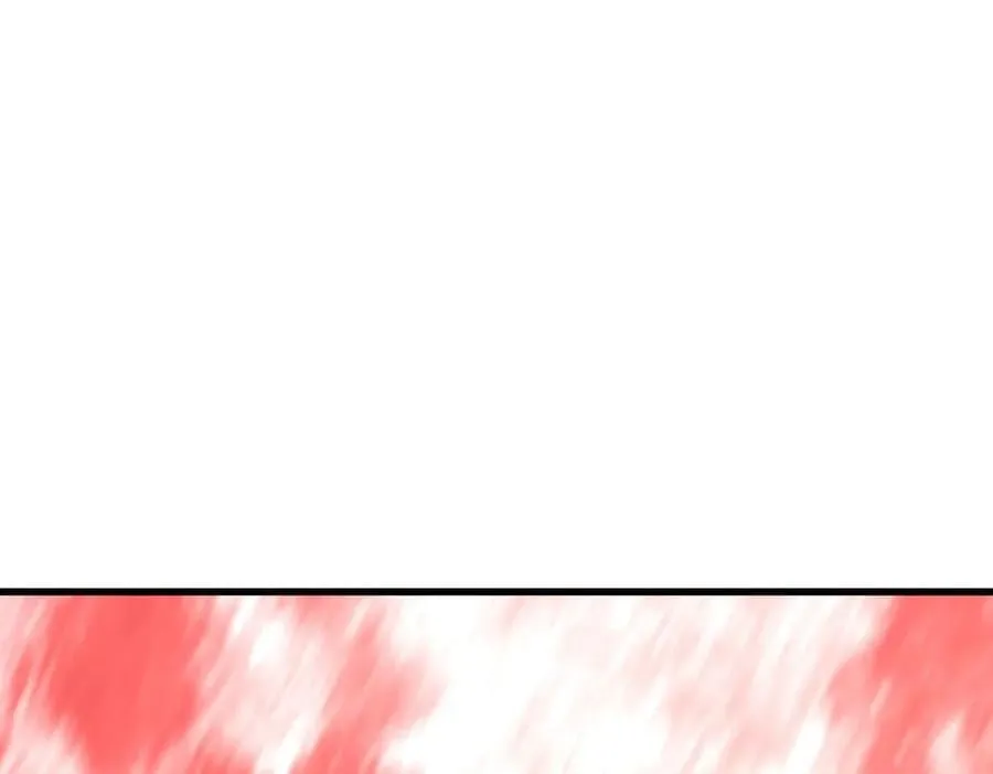 41135