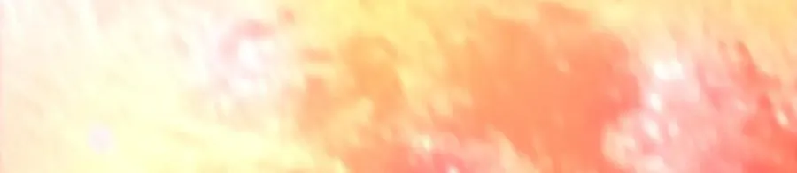40255