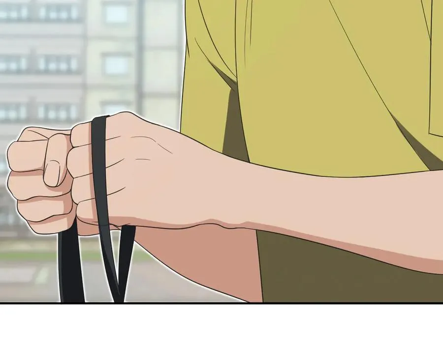 32334